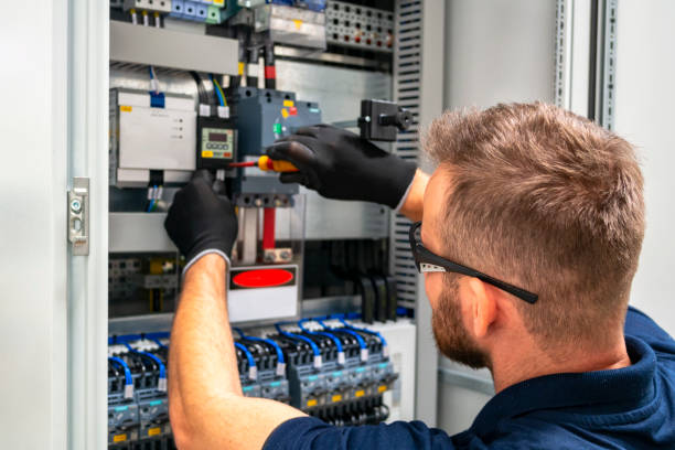 Best Electric Panel Repair  in Volcano Golf Course, HI